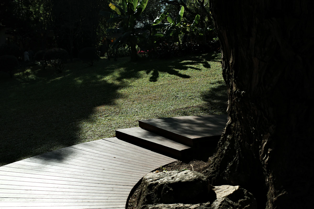 Wooden deck and steps leading to a grassy yard in New Port Richey FL Wooden deck and steps leading to a grassy yard in New Port Richey FL
